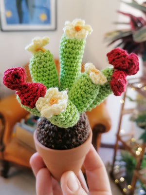 Invernadero - Cactus amigurumi