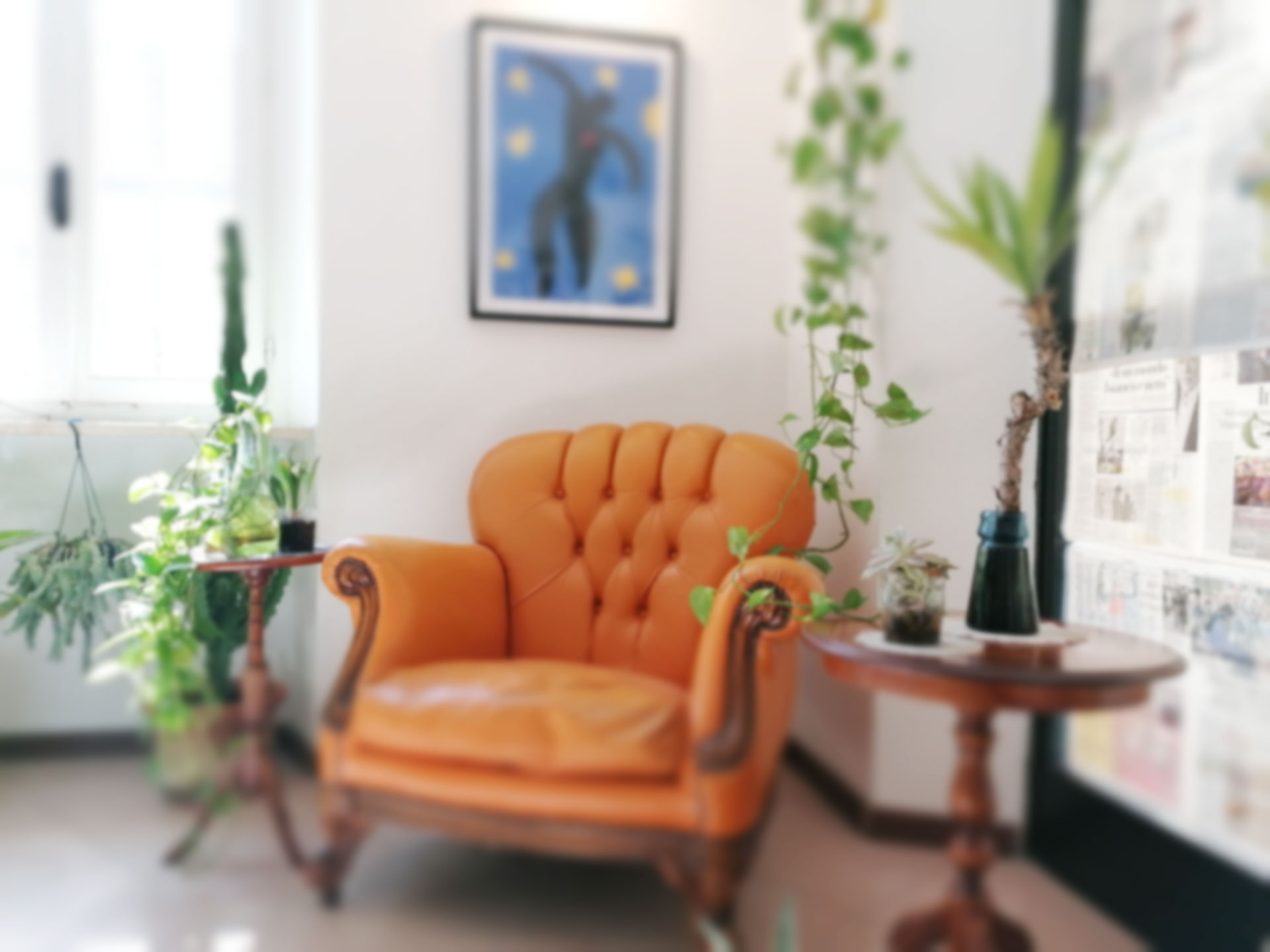 Che cos'è Invernadero?