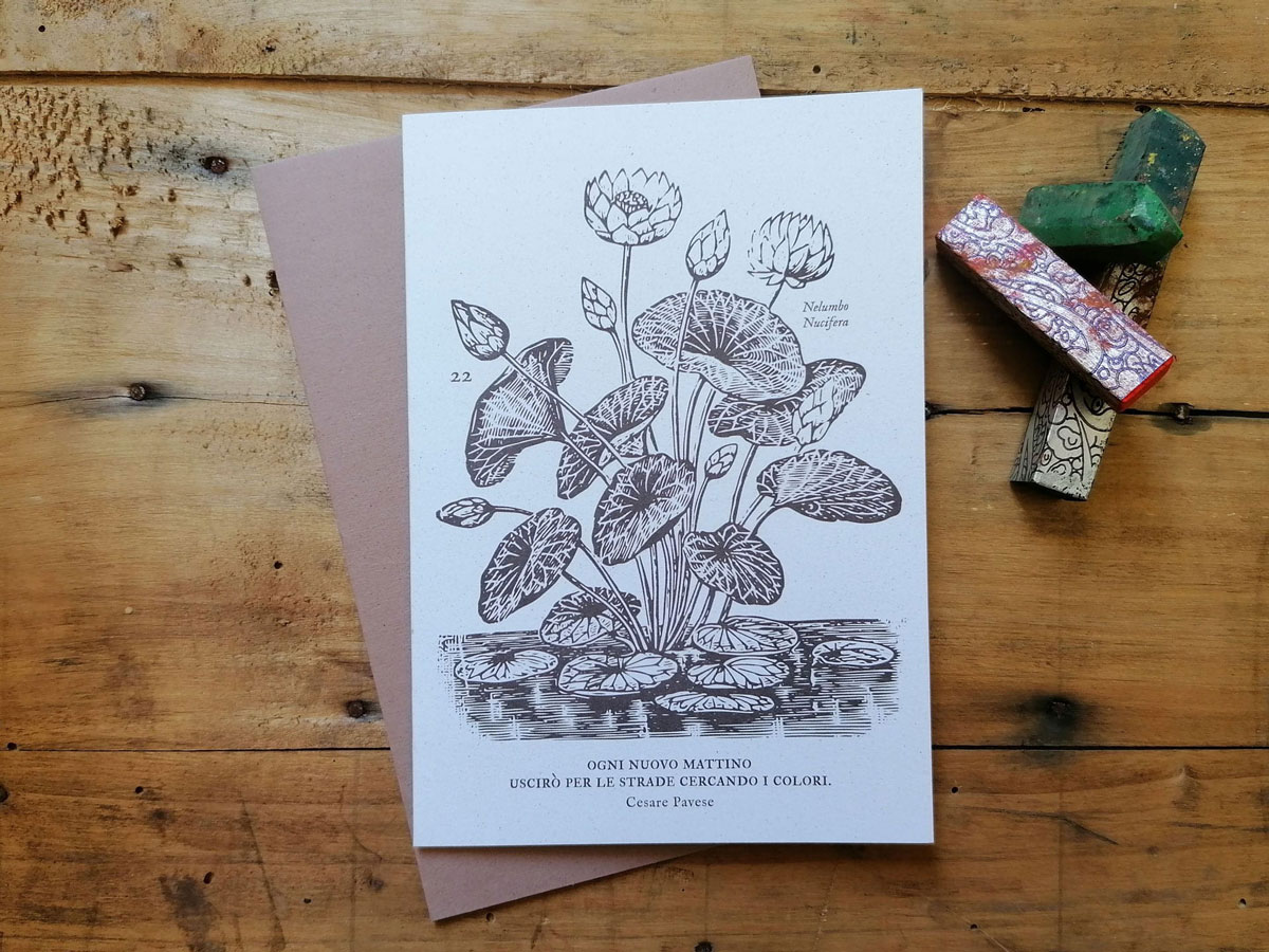 invernadero_biglietti-grandi_03