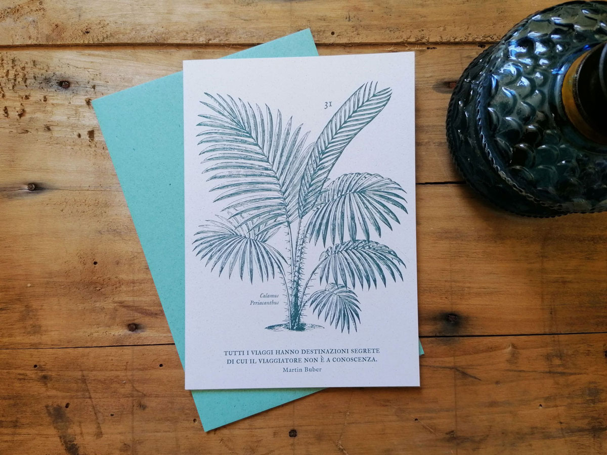 invernadero_biglietti-grandi_04