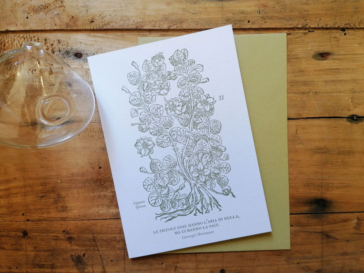 invernadero_biglietti-grandi_05