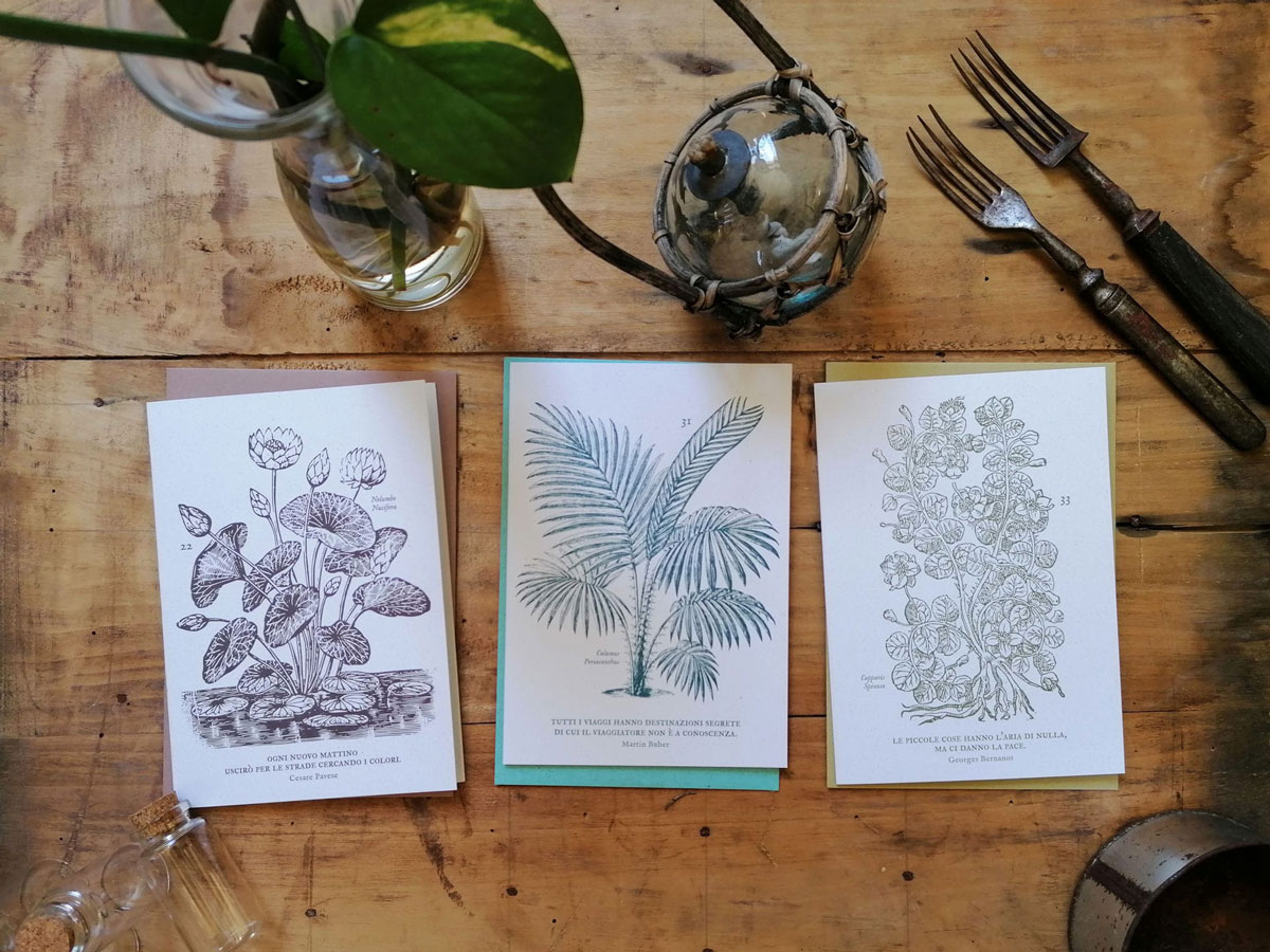 invernadero_biglietti-grandi_06