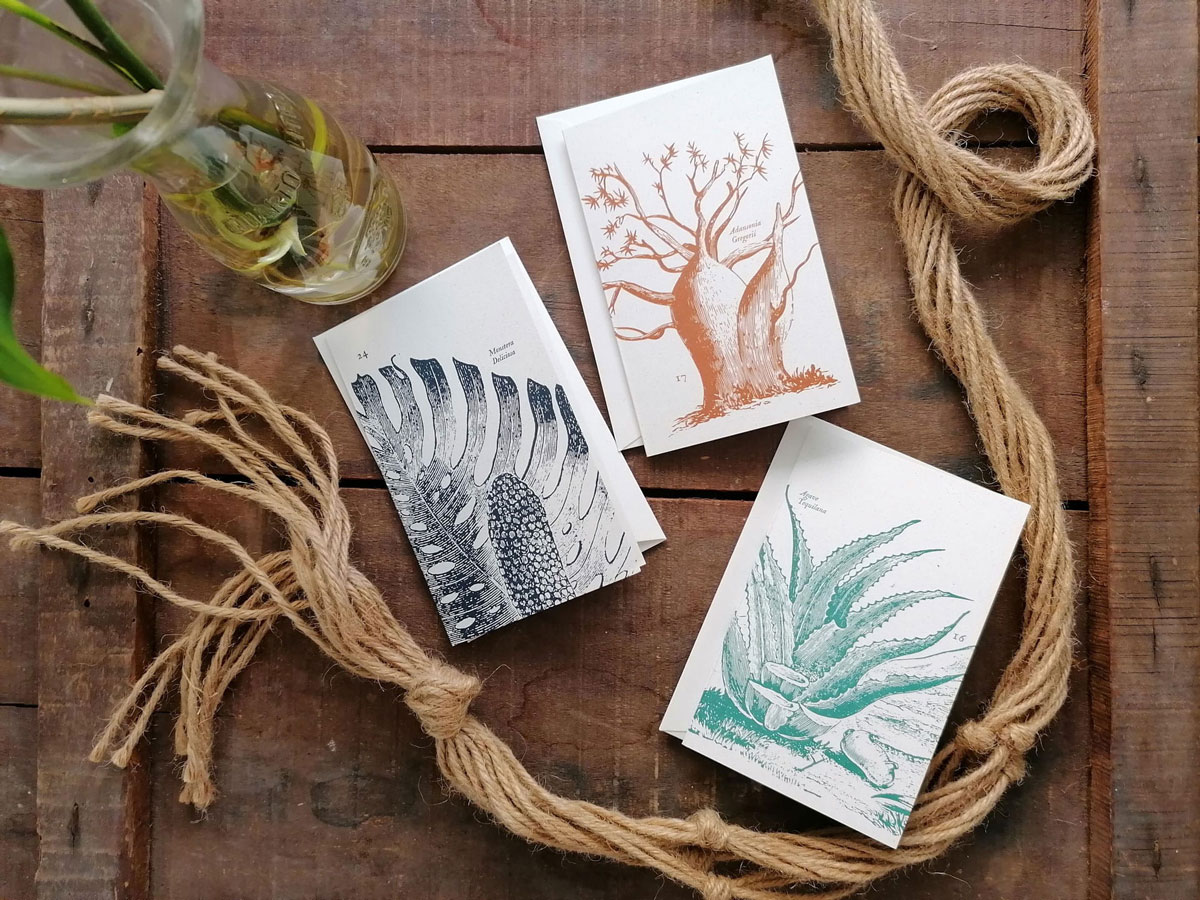 invernadero_biglietti-piccoli_02