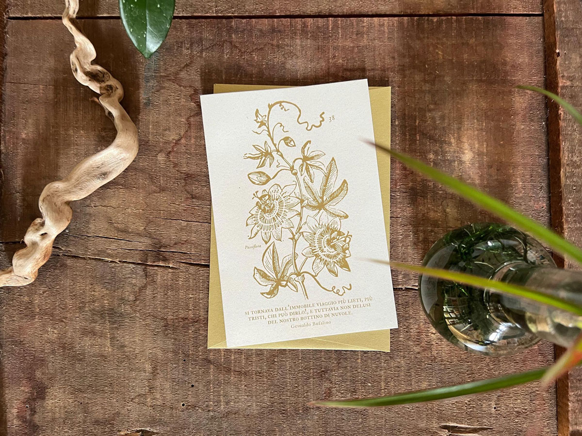 invernadero_biglietto-grande-38_06