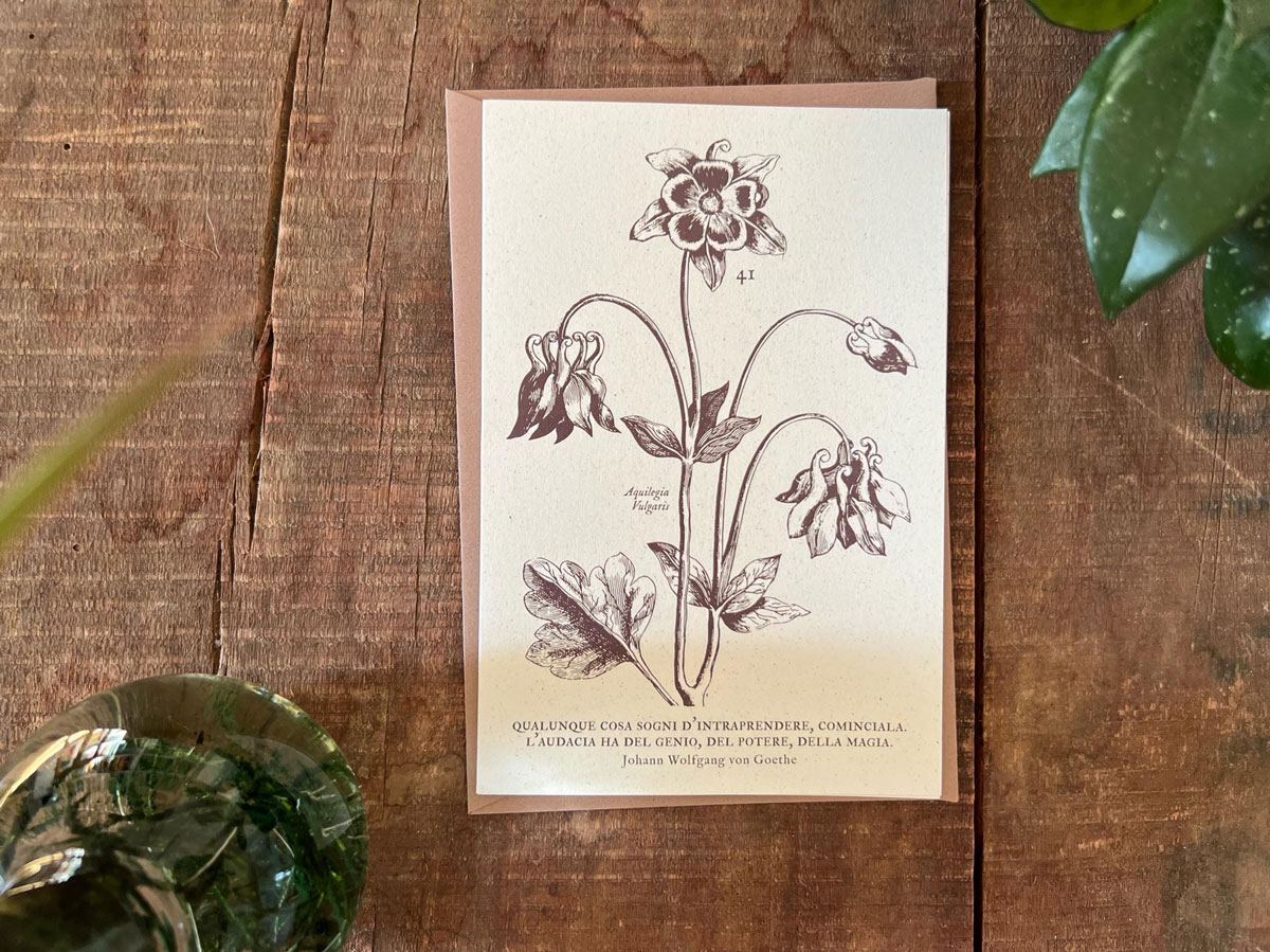 invernadero_biglietto-grande-41_03