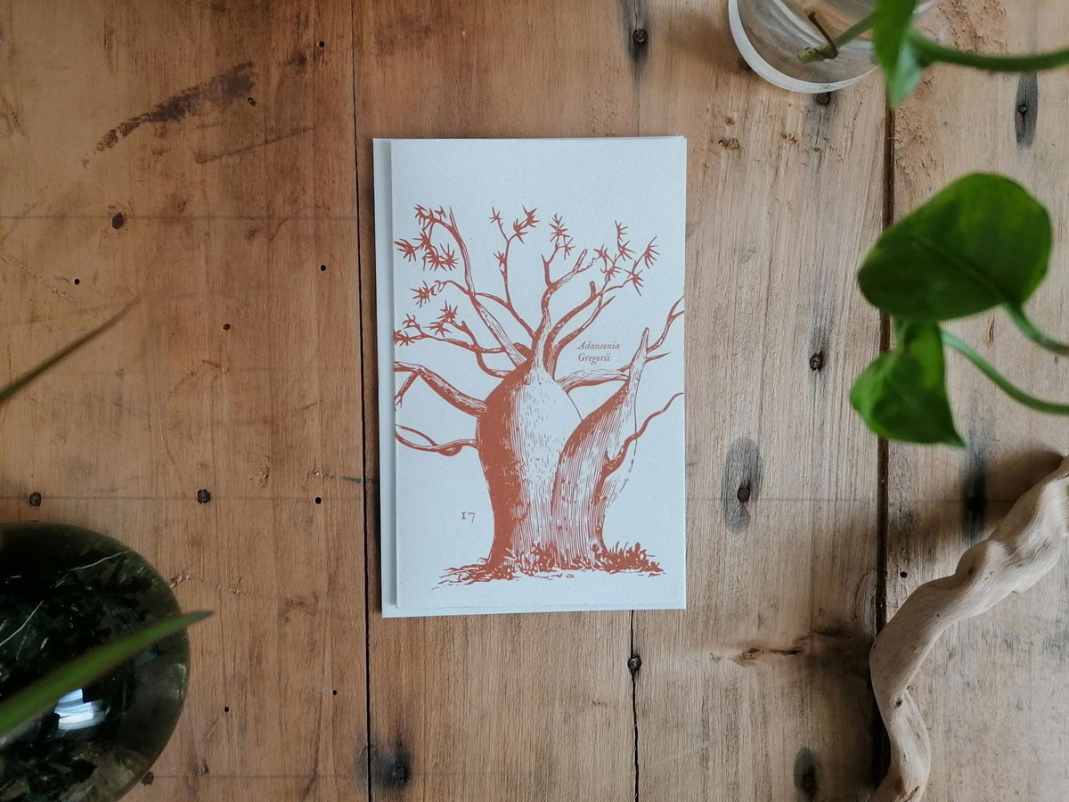 invernadero_biglietto-piccolo-17_01