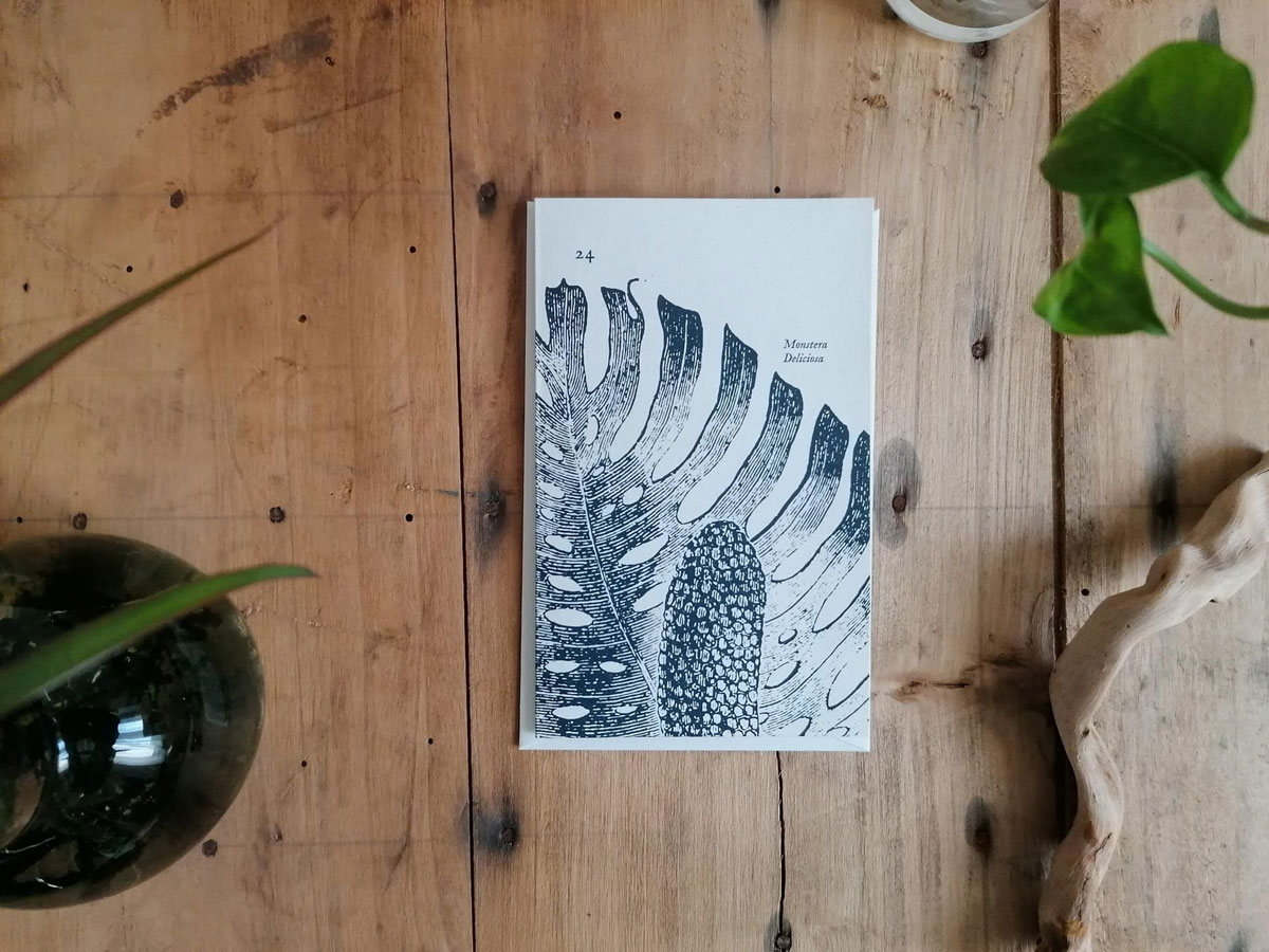 invernadero_biglietto-piccolo-24_01