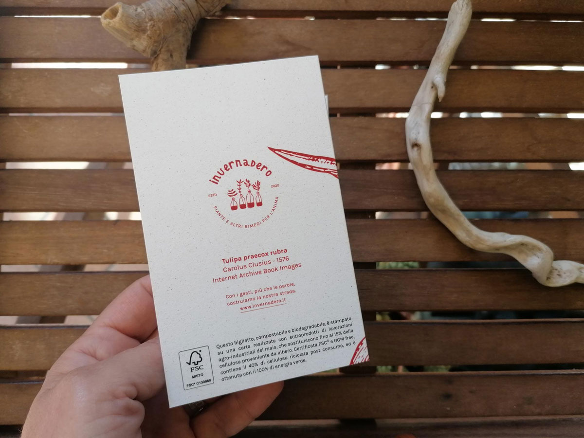 invernadero_biglietto-piccolo-43_04
