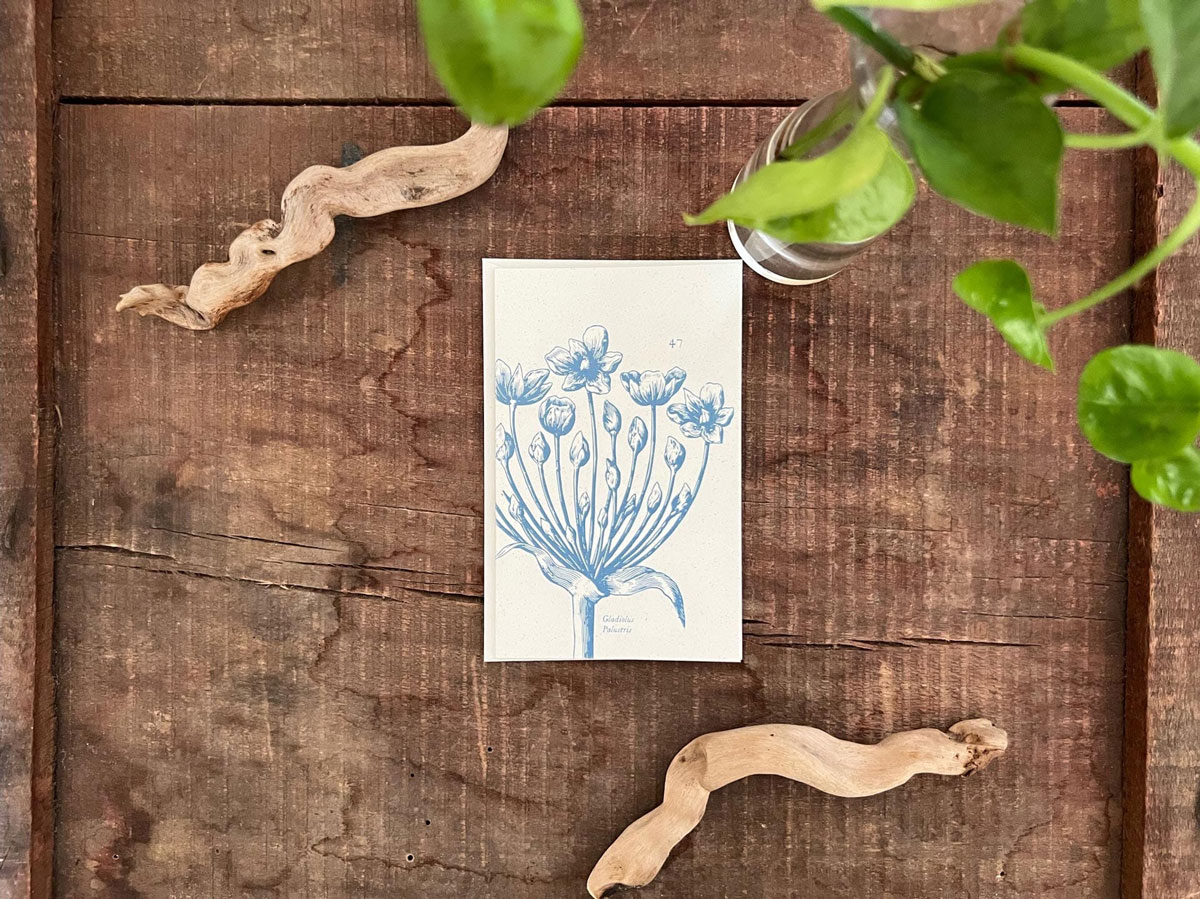 invernadero_biglietto-piccolo-47_04