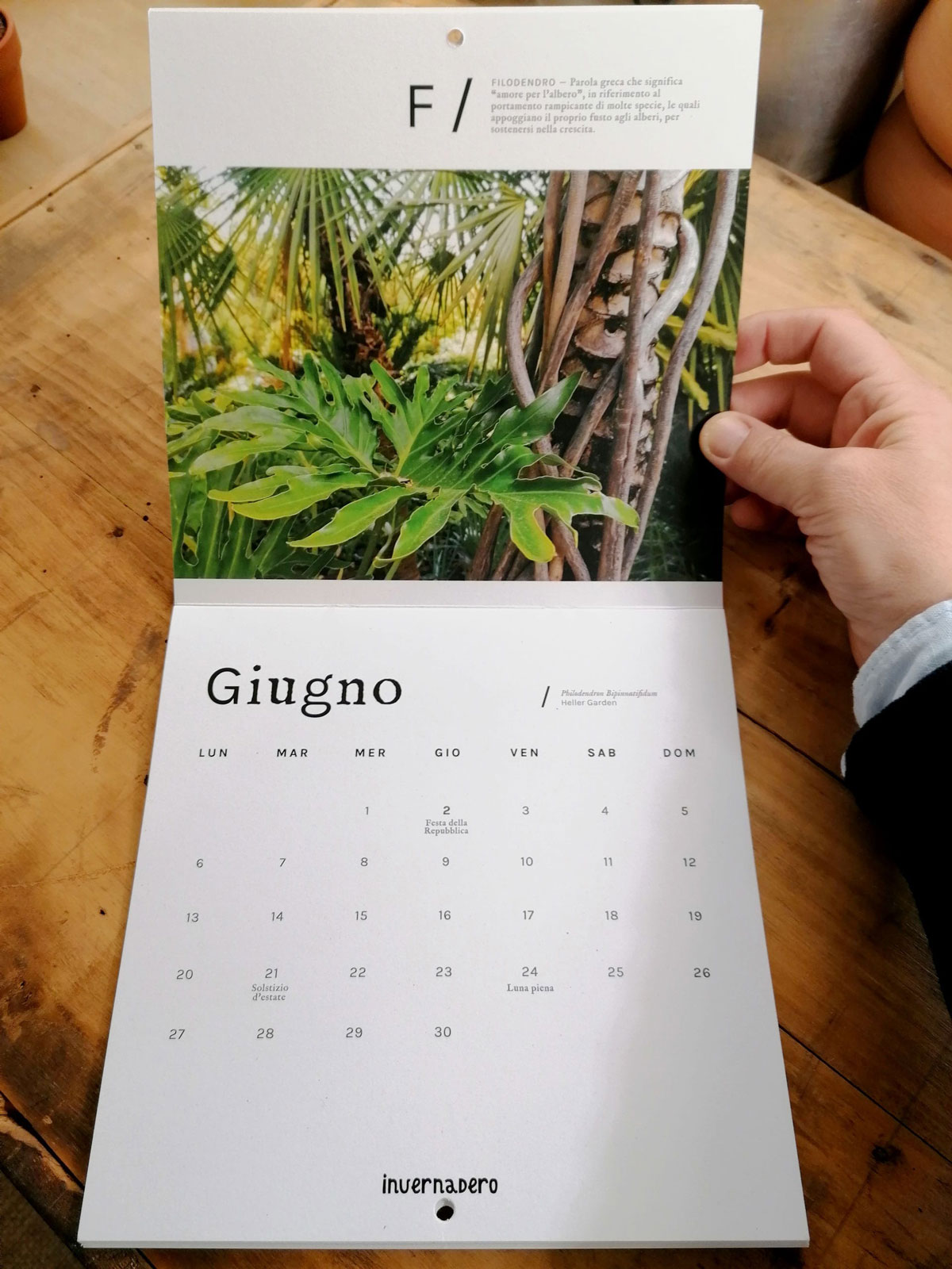 invernadero_calendario-parete_06