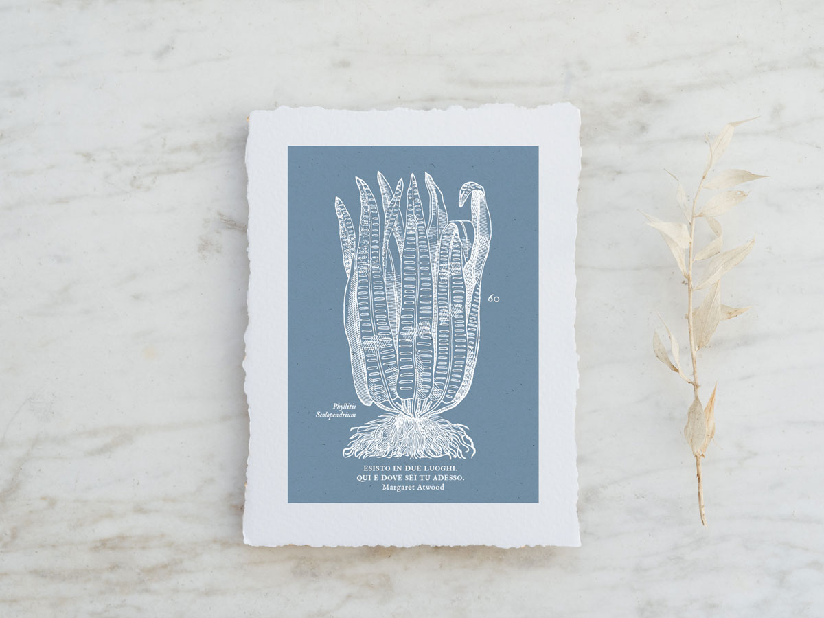 invernadero_stampa-A5-60-01