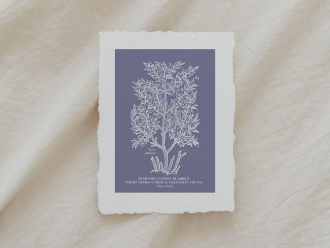 Stampa 63